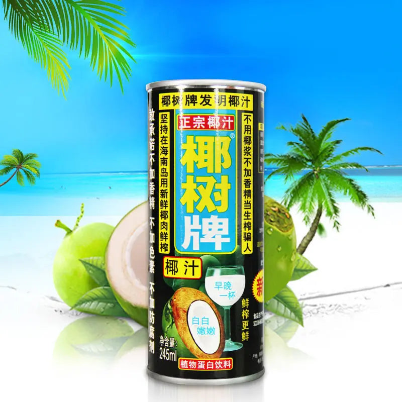 Coconut Palm Juice 245ml – Il succo di cocco autentico dalla Cina