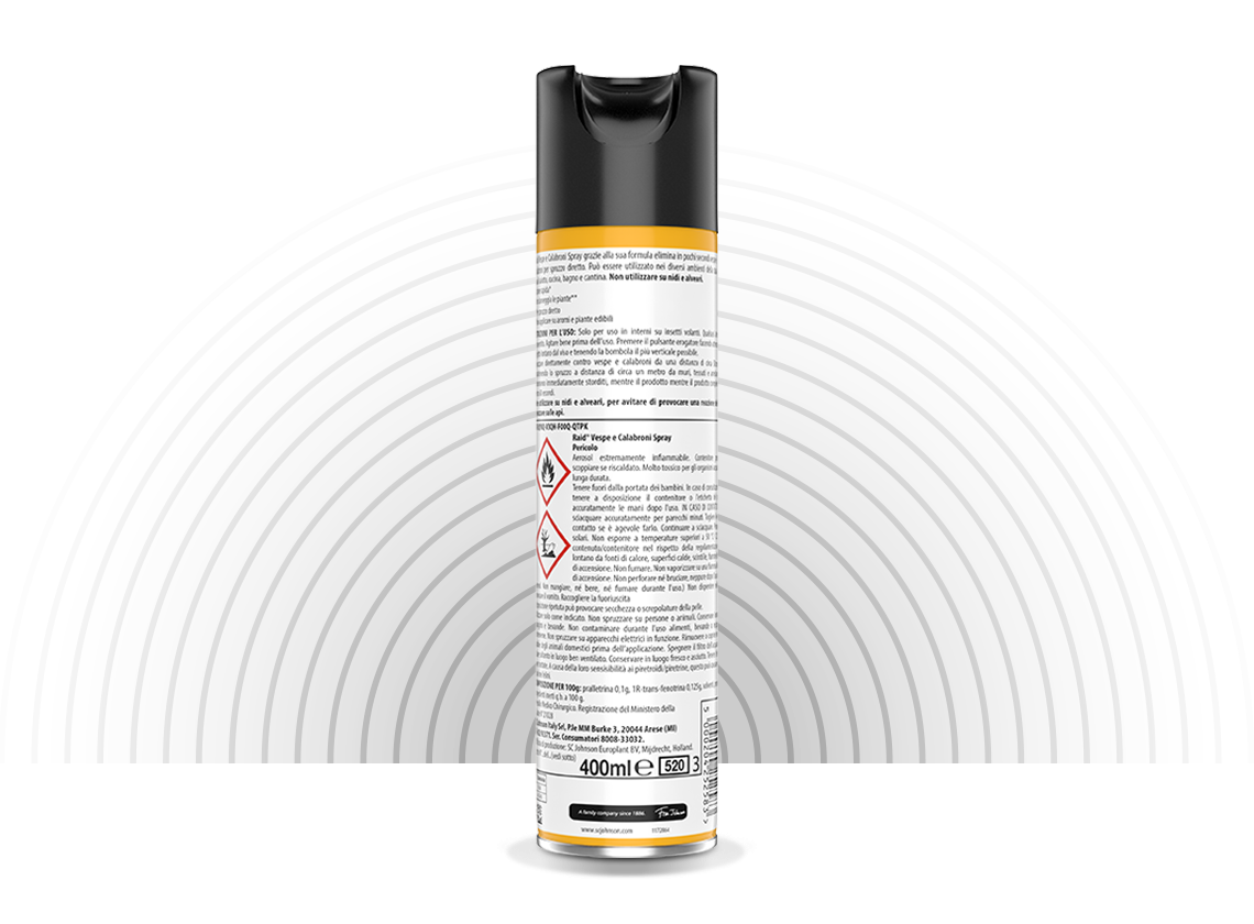 Raid Insetticida Vespe e Calabroni Spray 400 ml