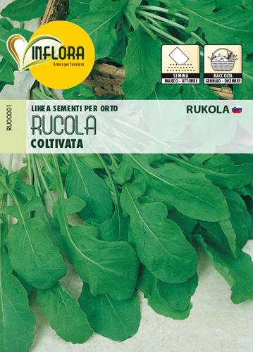 Inflices seeds of cultivated rocket