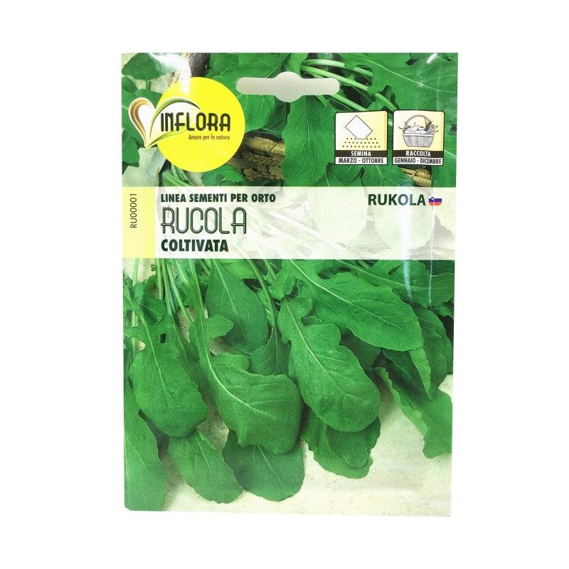 Inflices seeds of cultivated rocket