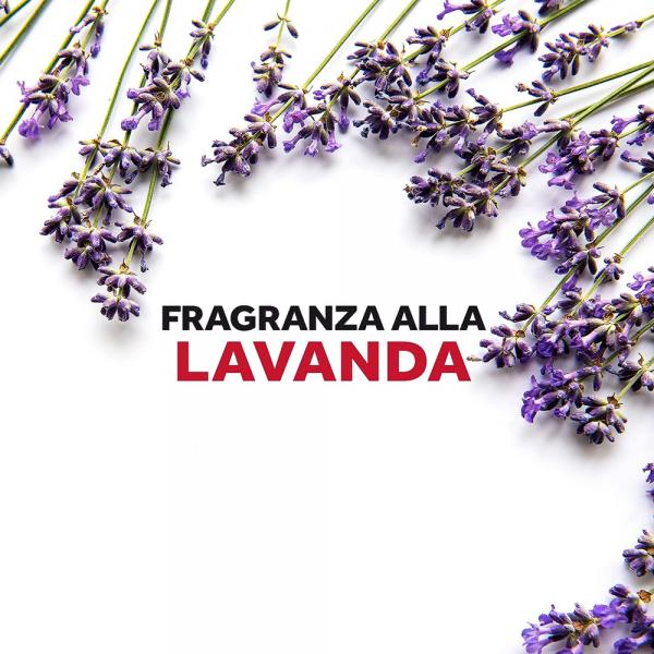 Raid Gabbiette Antitarme Alla Lavanda 2 x 14g